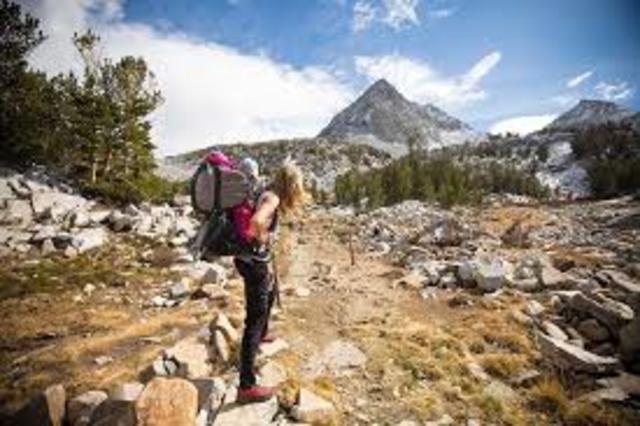 I love to research nature