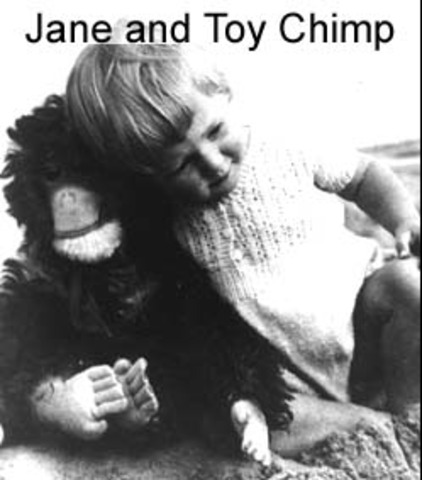 Jane Goodall's Childhood