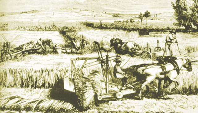 Revolución Industrial I