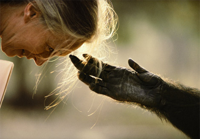 Jane Goodall Institute