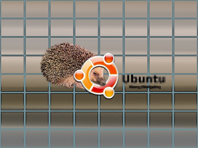 Ubuntu Versión 5.04