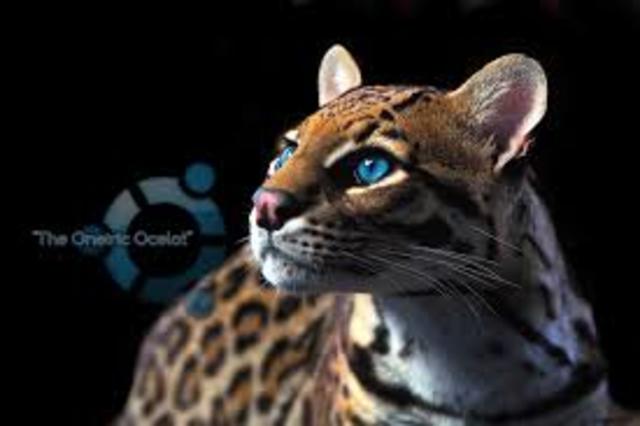 Decimo quinta version