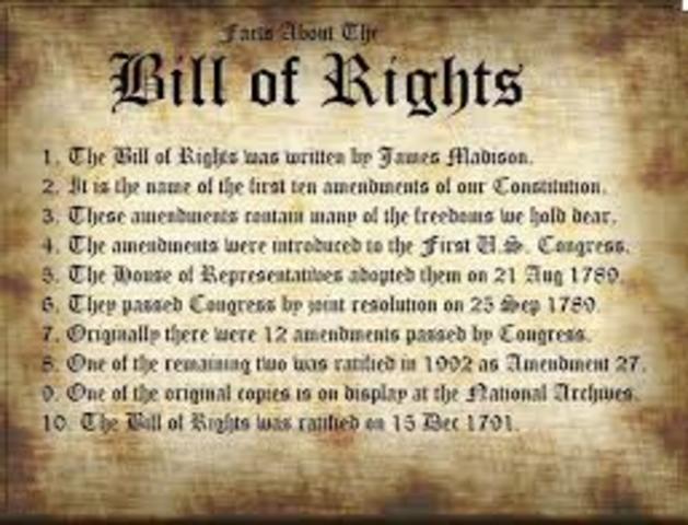 Bill of Rights