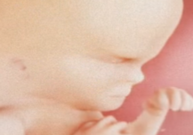 Aparecen nuevas capacidades