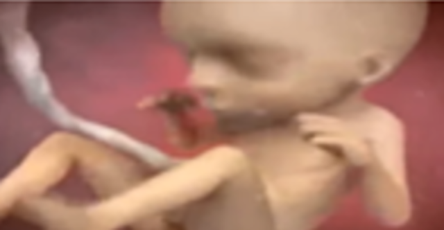 La madre siente los movimientos