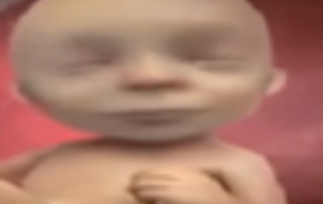 Sus ojos son sencibles a la luz