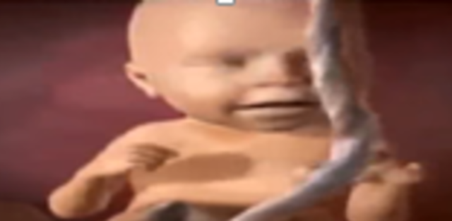 Está bastante activo