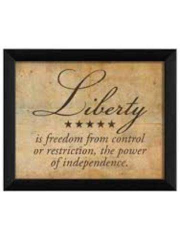 5 Principles: Liberty