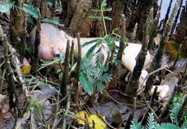 a.C    _PRÉ CRISTÃO