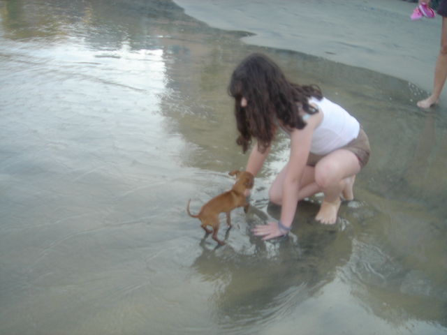 el primer viaje de mi perrita