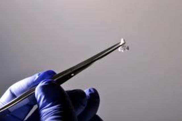 First use of physical evidence on a case