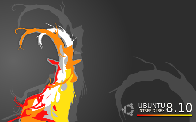Ubuntu 8.10