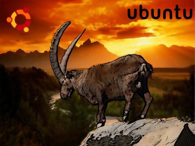 ubuntu 8.10