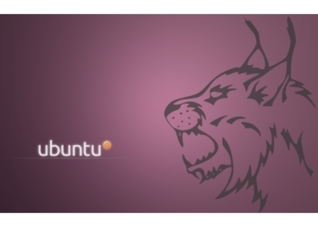 Ubuntu 10.04 LTS