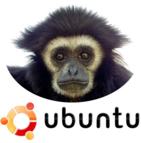 ubuntu 7.10