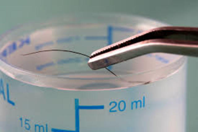 Hair can now be used to ID People