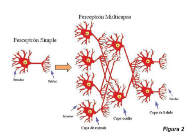 Red tipo perceptrón
