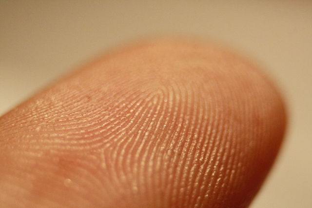 Fingerprints First Used