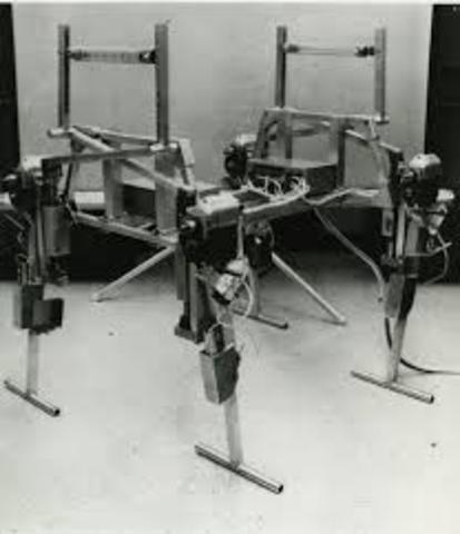 Mcgee and Frank's computer controlled bot.