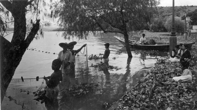 Fundación de la Compañía de Navegación y Comercio