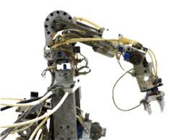 Victor Schenman's puma