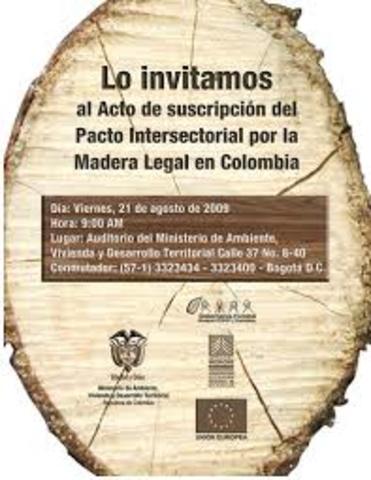 MADERA LEGAL EN COLOMBIA