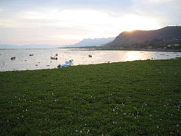 El gobierno cede ricas tierras