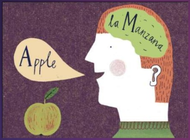 MÉTODO AUDIOLINGUAL