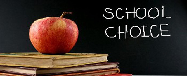 School Choice Movement: Charter Schools, vouchers