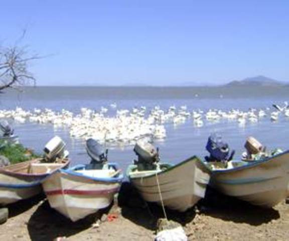 Repuntan actividades turísticas