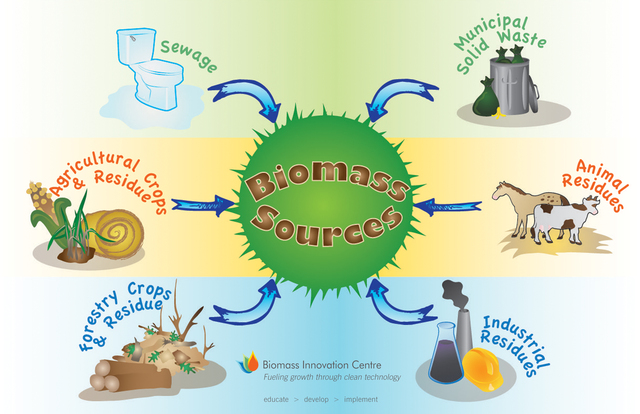 Biomass Energy