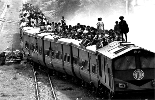 migration to the cites