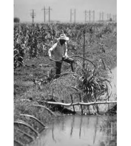 Código agrario 1990