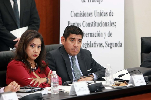 Minuta de reforma del artículo 73°