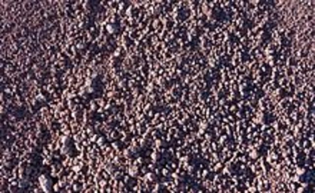 HORMIGO (ERA DE AUGUSTO)