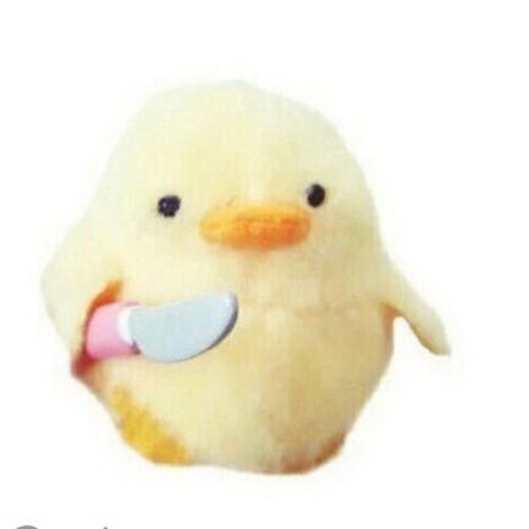 Y ahora me dedico a rendir materias en diciembre