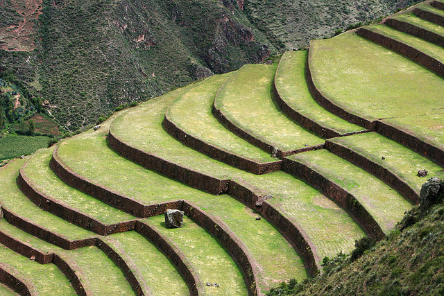 Agricultura en Machu picchu