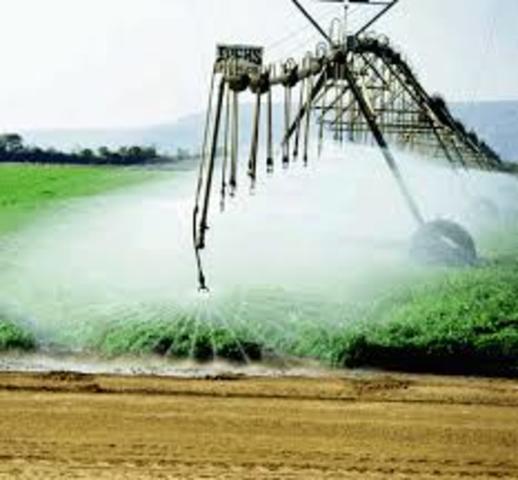 En los cuarenta se legisla ampliamente sobre protección, aprovechamiento y permisos en materia de bosques.