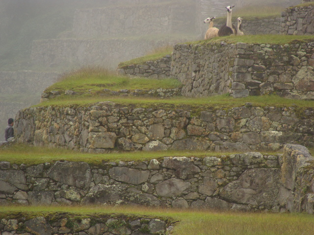 TÉCNICAS UTILIZADAS POR LOS INCAS