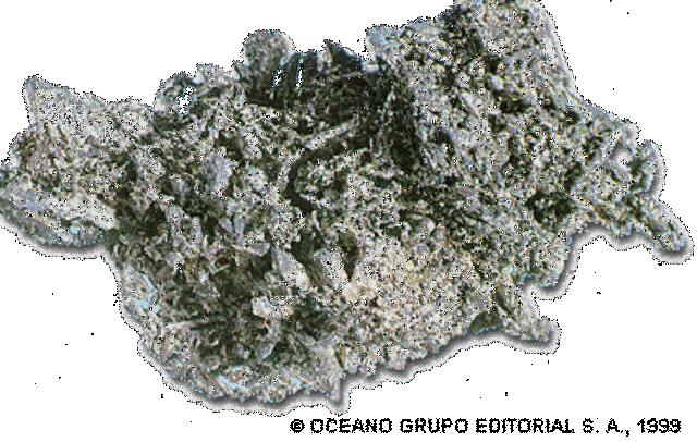 Bartolomé de Medina descubre el "Proceso de Patio".