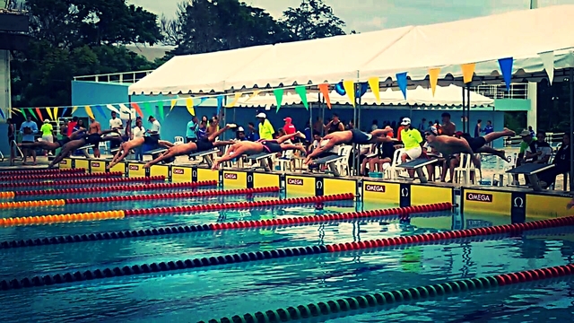 my firts gold medals and my two first bronze medals