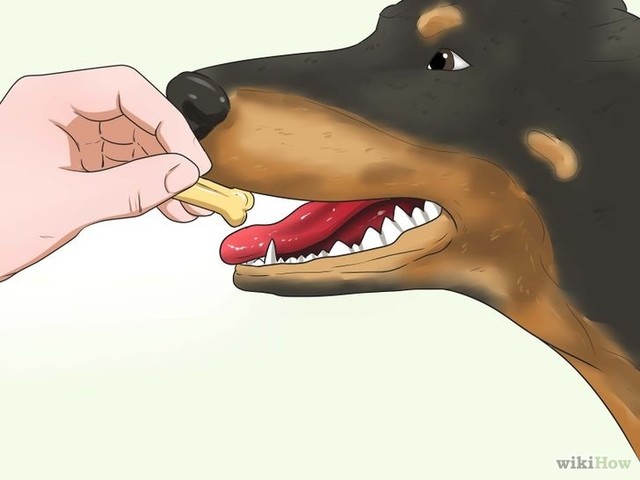 Consideraciones de la salud