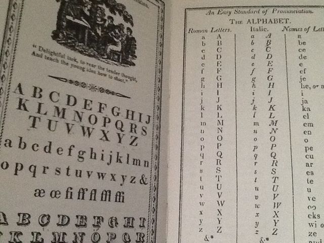 The Blue-Backed Speller