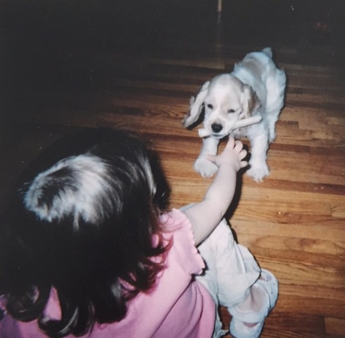 L'Achat de mon Chien, Pudge