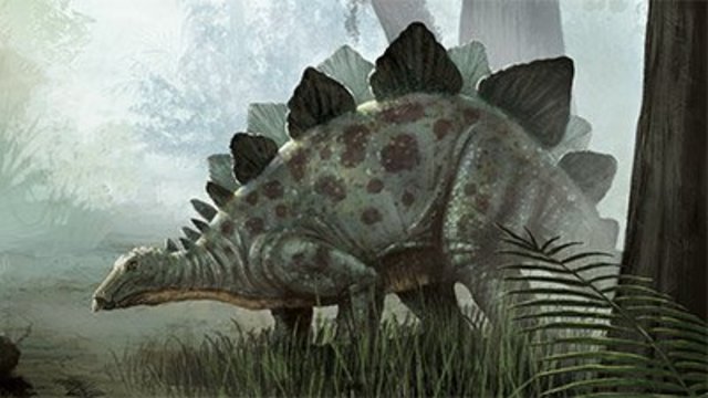 Mesozoic:Triassic