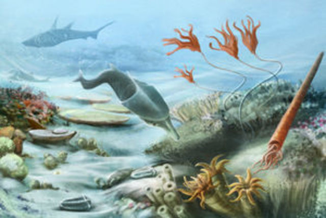 Paleozoic:Silurian