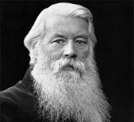 The First Light Bulb