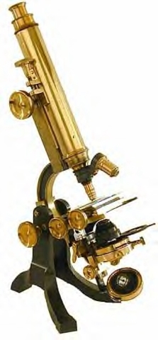 Microscopes were invented