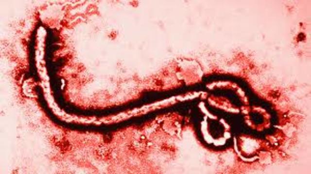Ebola Virus