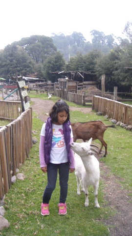 4o. Grado de Primaria